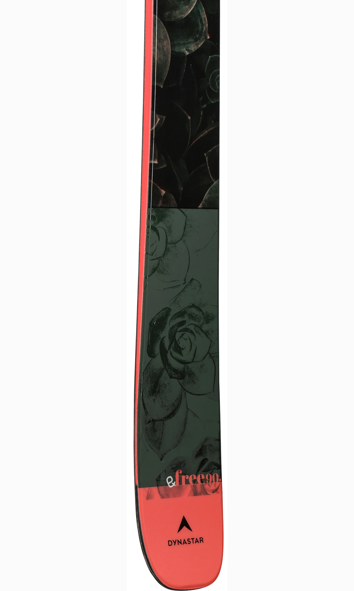 DYNASTAR SKI E-FREE 90 5 DYNASTAR SKI E-FREE 90 - immagine 3